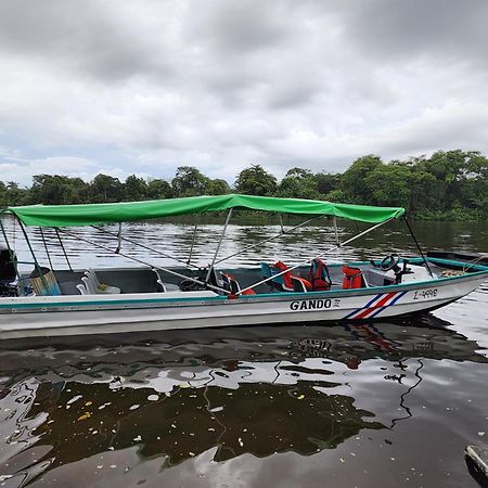 Departamento 7 Tortuguero Lejlighed Eksteriør billede