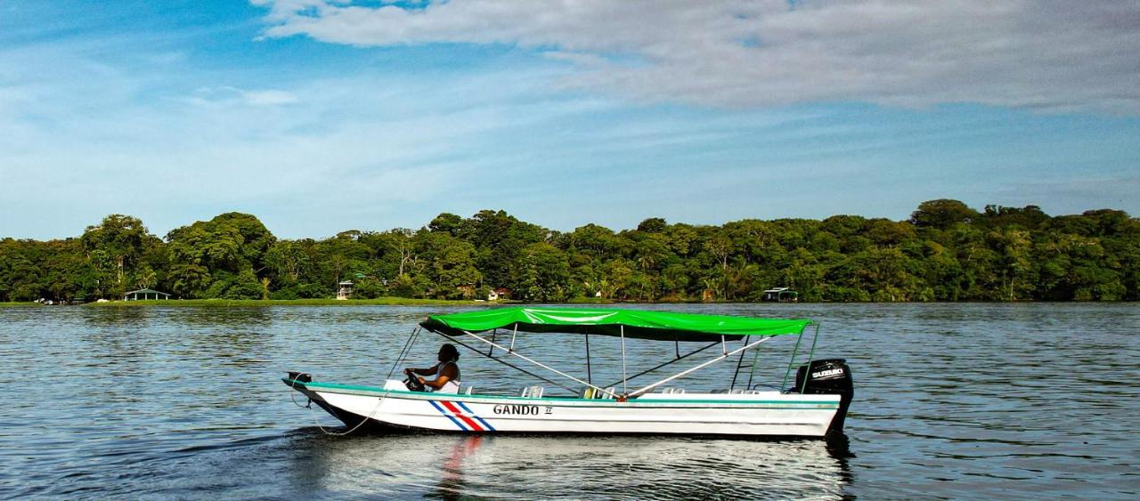 Departamento 7 Tortuguero Lejlighed Eksteriør billede