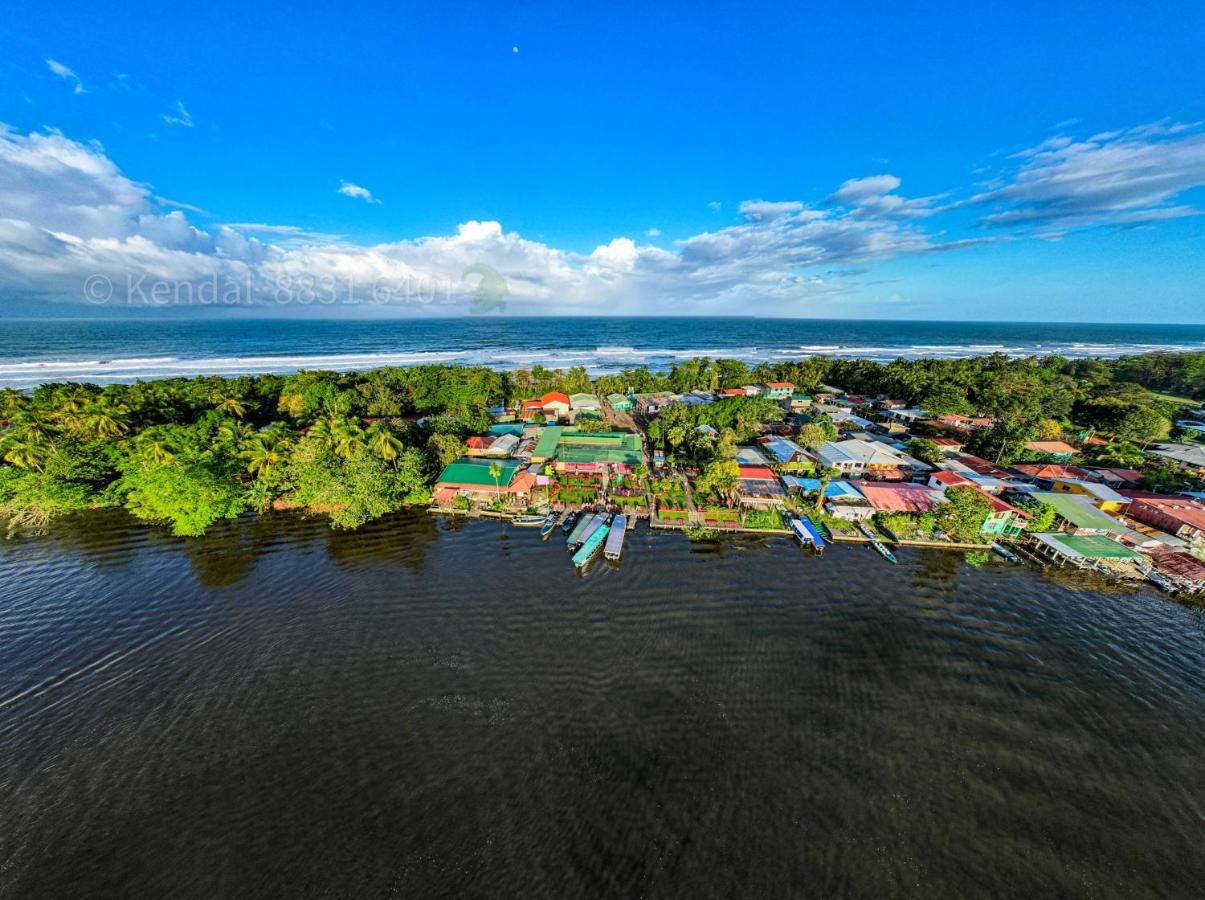 Departamento 7 Tortuguero Lejlighed Eksteriør billede