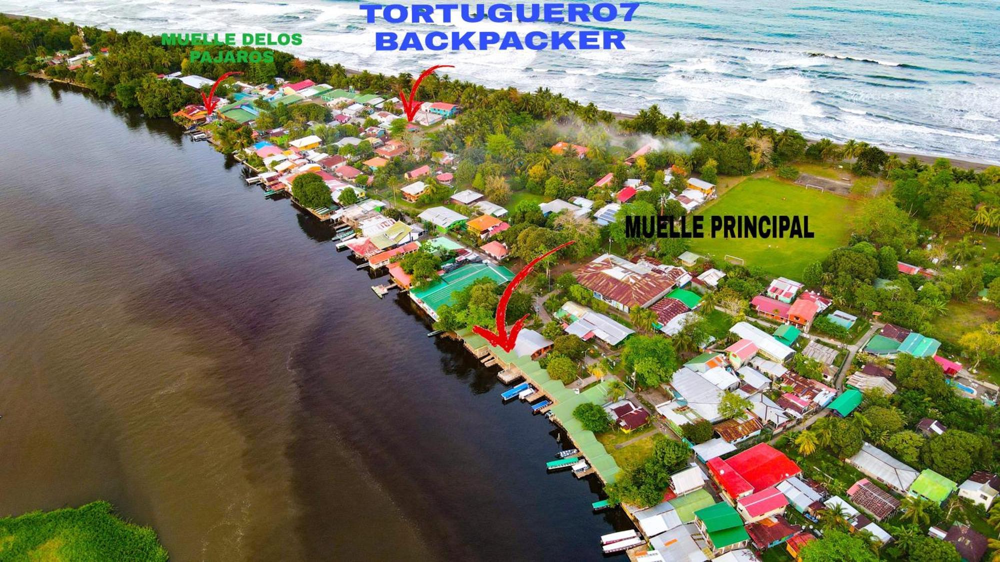 Departamento 7 Tortuguero Lejlighed Eksteriør billede